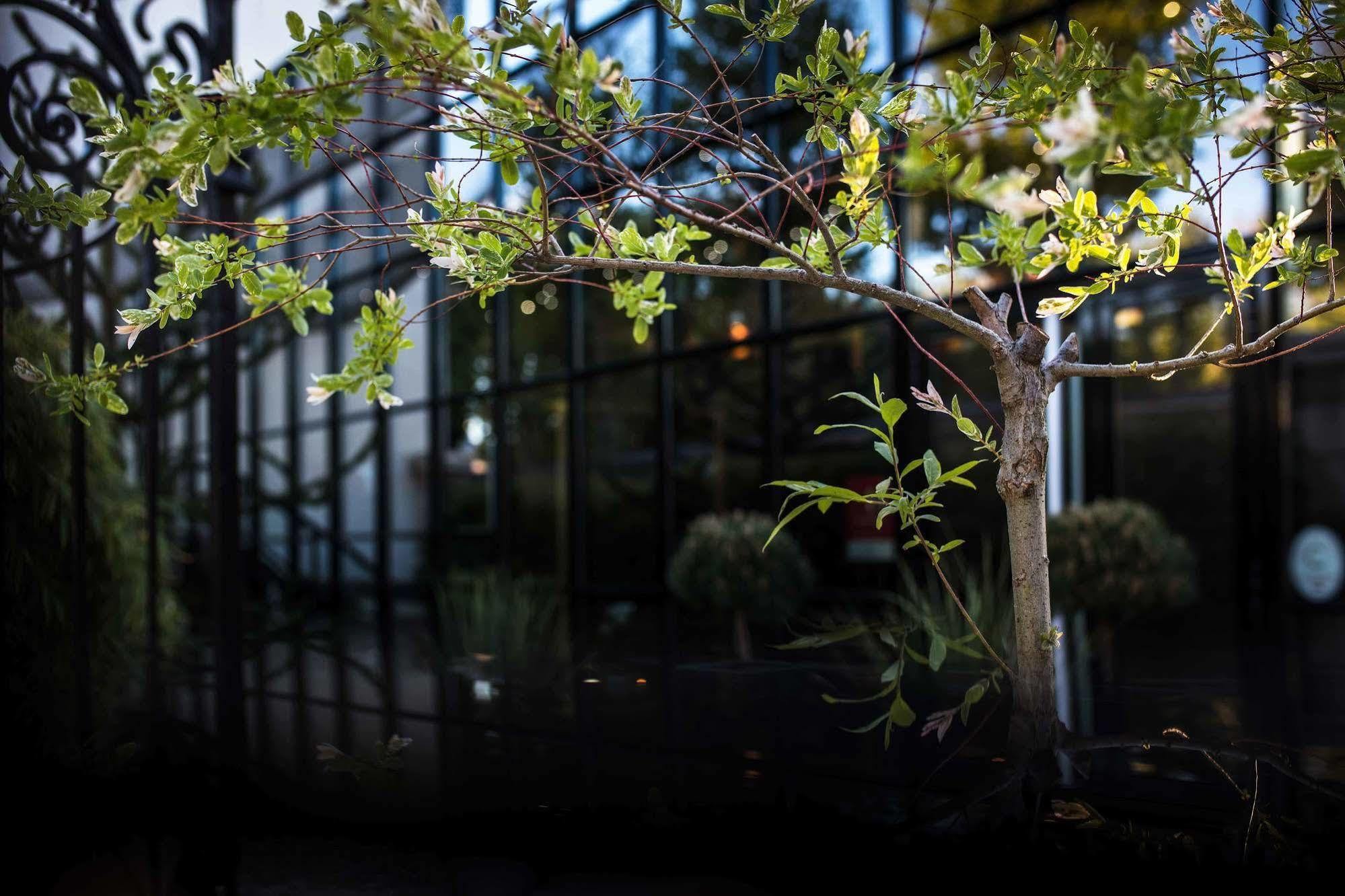 Maison Decoret - Relais & Chateaux Vichy Kültér fotó